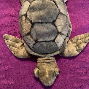 Webkinz Signature Sea Turtle